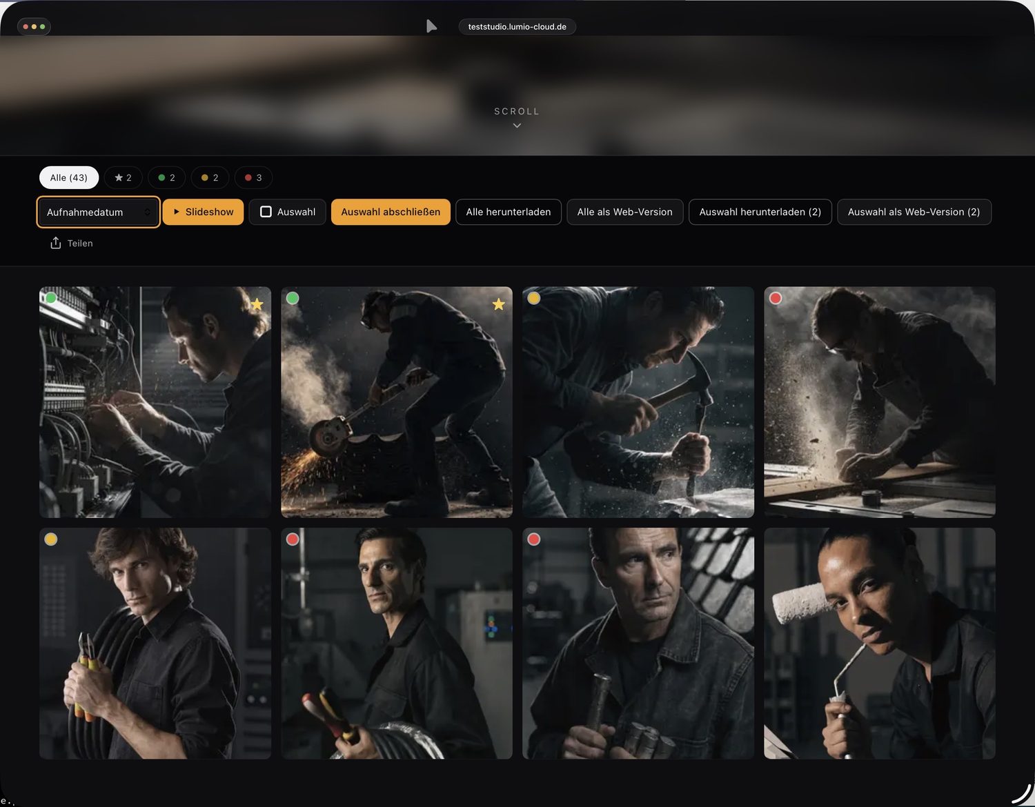 Gallery with color-tag filter and marked images